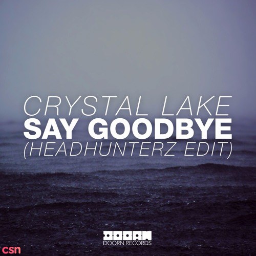 Say Goodbye (Headhunterz Edit) (Single)