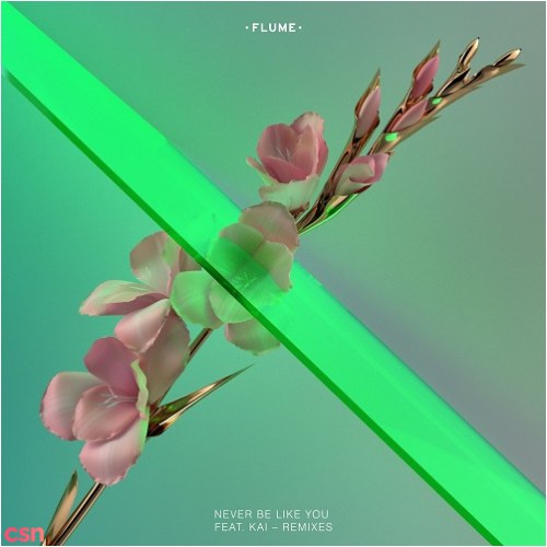 Flume