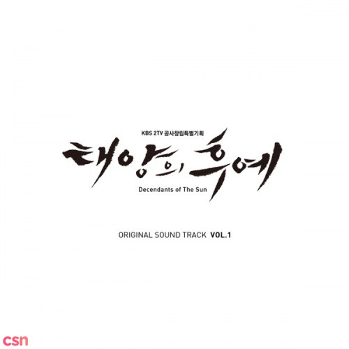 Descendants Of The Sun OST Special Vol.1