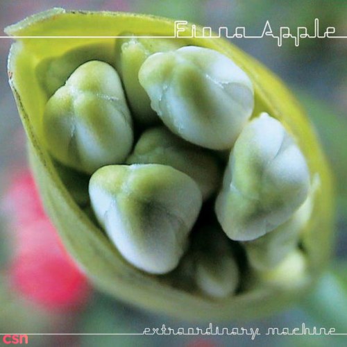 Fiona Apple