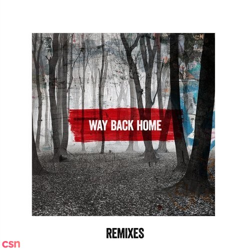 Way Back Home Remixes