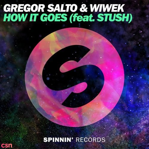Gregor Salto & Wiwek feat. Stush - How It Goes (Extended Mix)