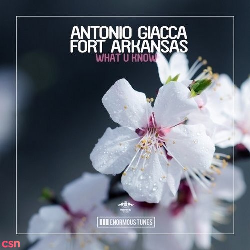 Antonio Giacca, Fort Arkansas: What U Know
