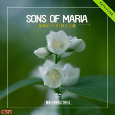 Sons Of Maria