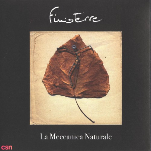 La Meccanica Naturale