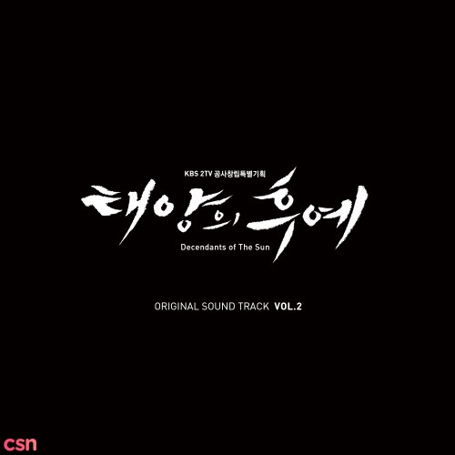 Descendants Of The Sun OST Special Vol.2