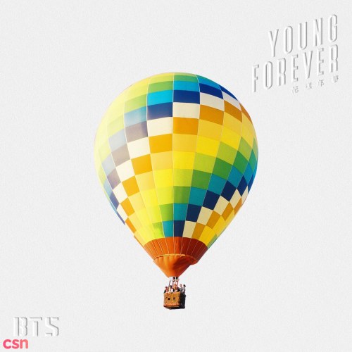 The Most Beautiful Moment in Life: Young Forever (Special Album) (CD1)
