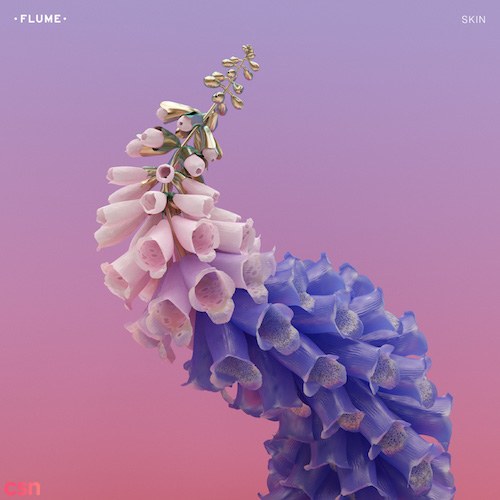 Flume