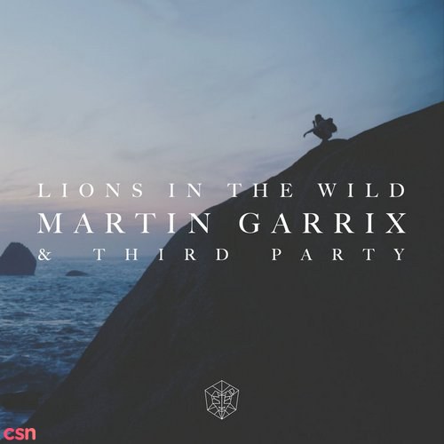 Lions In The Wild - Single