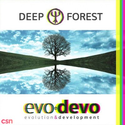 Deep Forest