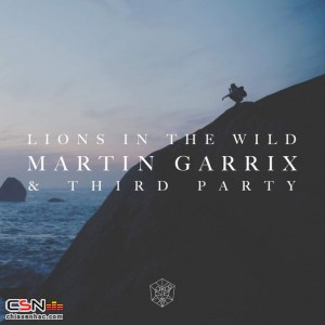 Lions In The Wild - Single