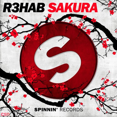 Sakura (Single)