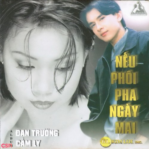 Nếu Phôi Pha Ngày Mai