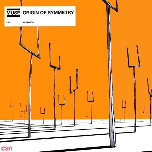 Origin Of Symmetry