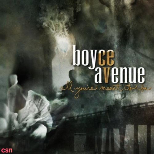 Boyce Avenue