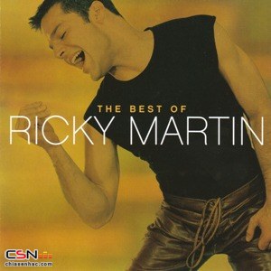 Ricky Martin