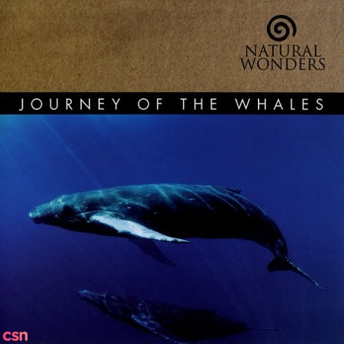 Journey Of The Whales (Natural Wonders Series)