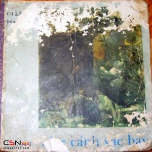 Như Cánh Vạc Bay (Băng Cối Akai - 1973)