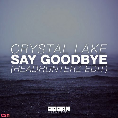 Say Goodbye (Headhunterz Edit)