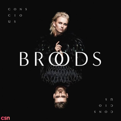 Broods