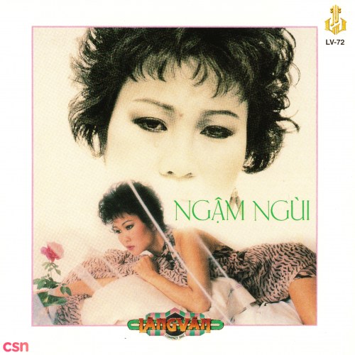 Ngậm Ngùi