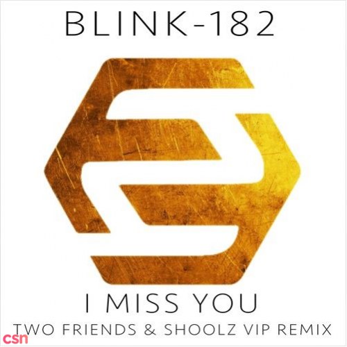 I Miss You (Two Friends & Shoolz VIP Remix)