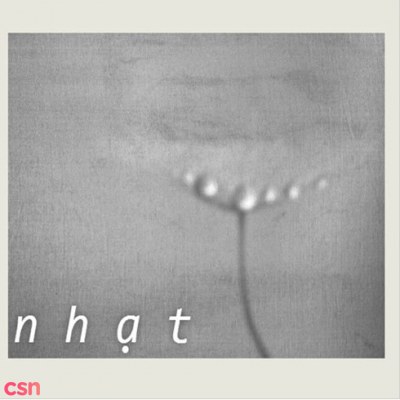 Nhạt (Single)