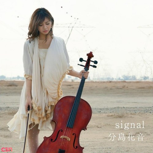 Signal