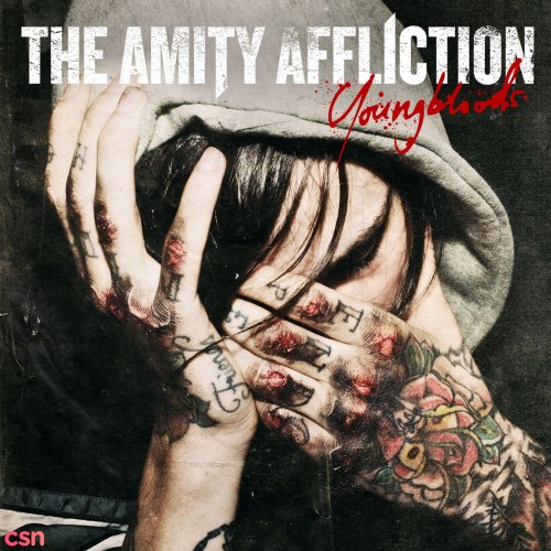 The Amity Affliction