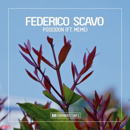 Federico Scavo