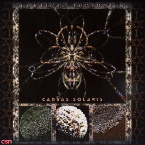 Canvas Solaris