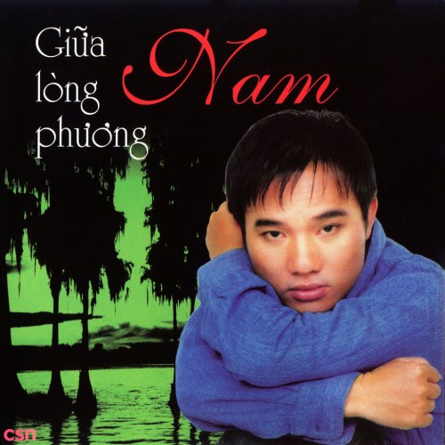 Quang Linh