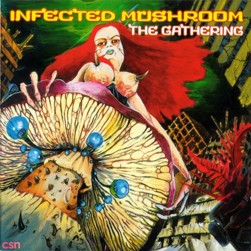 Infected Mushroom