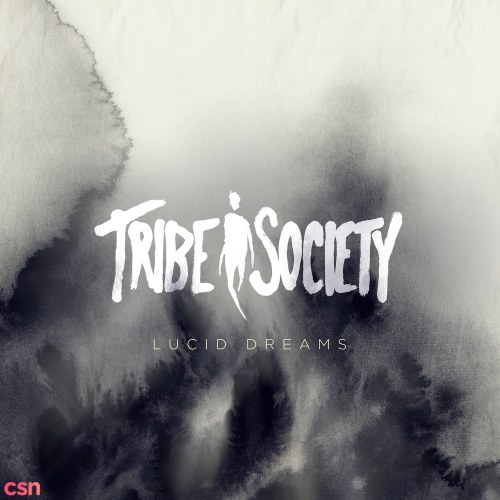 Tribe Society