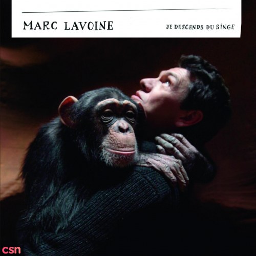 Marc Lavoine