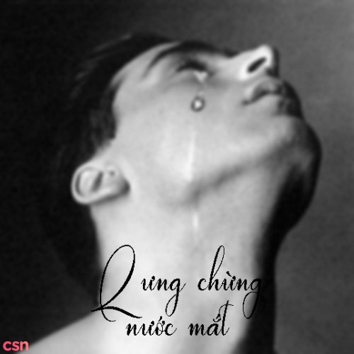 Cover 2 - Lưng chừng nước mắt