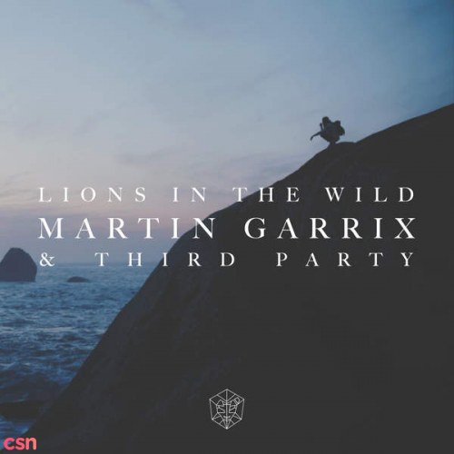 Lions In The Wild (Single)