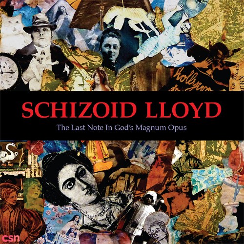 Schizoid Lloyd