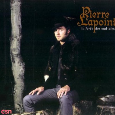 Pierre Lapointe