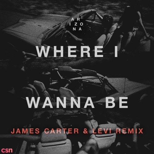 Where I Wanna Be (James Carter & Levi Remix) (Radio Edit)