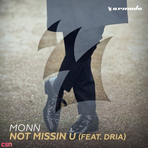 Not Missing You (Jack Wins Remix) (Single)
