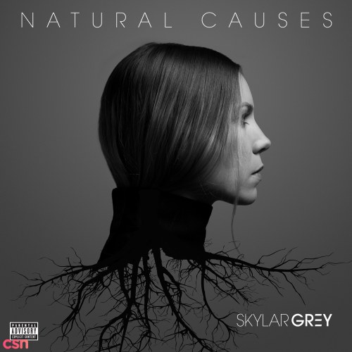 Skylar Grey