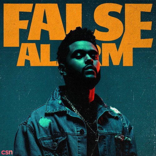 False Alarm (Single)