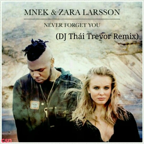 Never Forget You (DJ Thái Trevor Remix) - Single