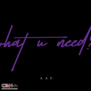 What U Need (Single)