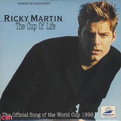 Ricky Martin