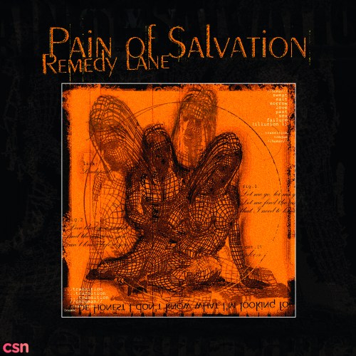 Pain Of Salvation