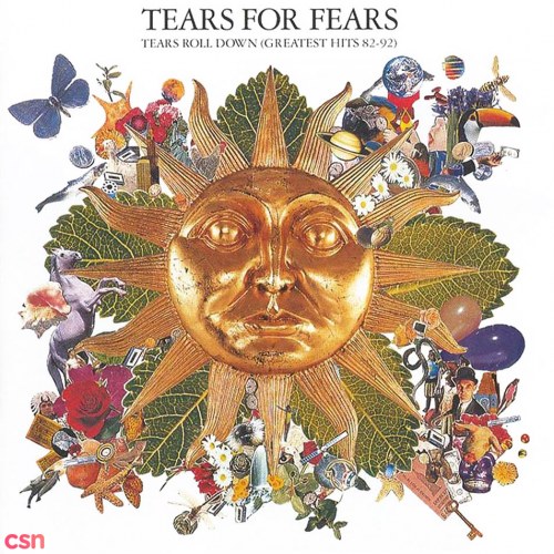 Tears For Fears