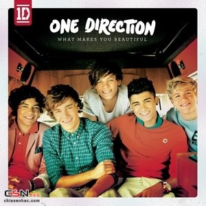 What Makes You Beautiful (Single)