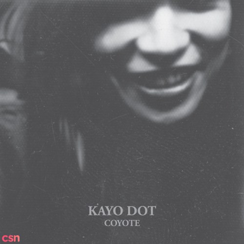 Kayo Dot